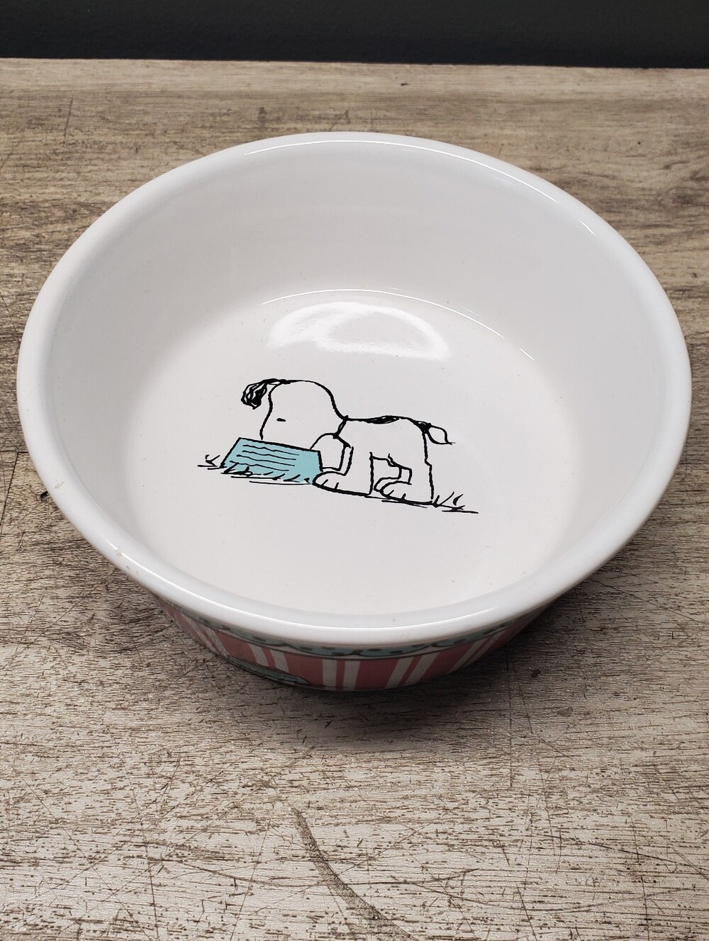 Peanuts Snoopy dog bowl